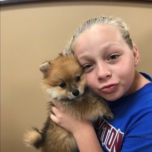 Meet your Posher, Emma